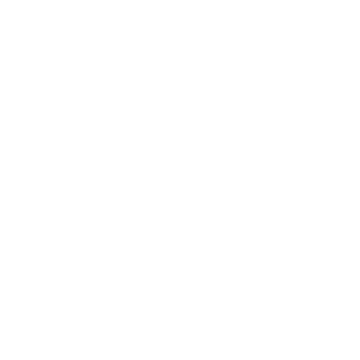 Weißes Icon mit einer aufsteigenden Rakete